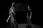 Iliade - Homère & Pauline Bayle