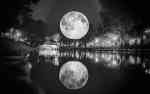 Museum of the Moon - Luke Jerram