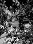 Garden State - Jardin éphémère - 