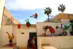 FIQ ! (Réveille-toi !) - Groupe acrobatique de Tanger
Maroussia Diaz Verbèke