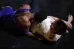 La Tendresse