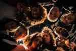 Parcours electro hip-hop // 3 temps 3 lieux - Laura “Nala” Defretin & Brandon “Miel” Masele