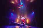 I love you two - Circus I love you