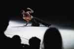the body symphonic